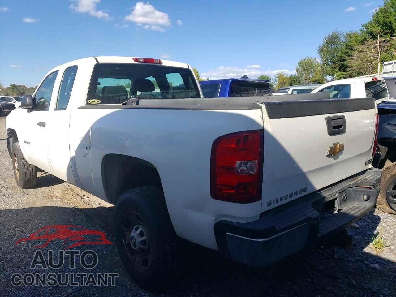 CHEVROLET SILVERADO 2011 - 1GC2CVCG0BZ465978