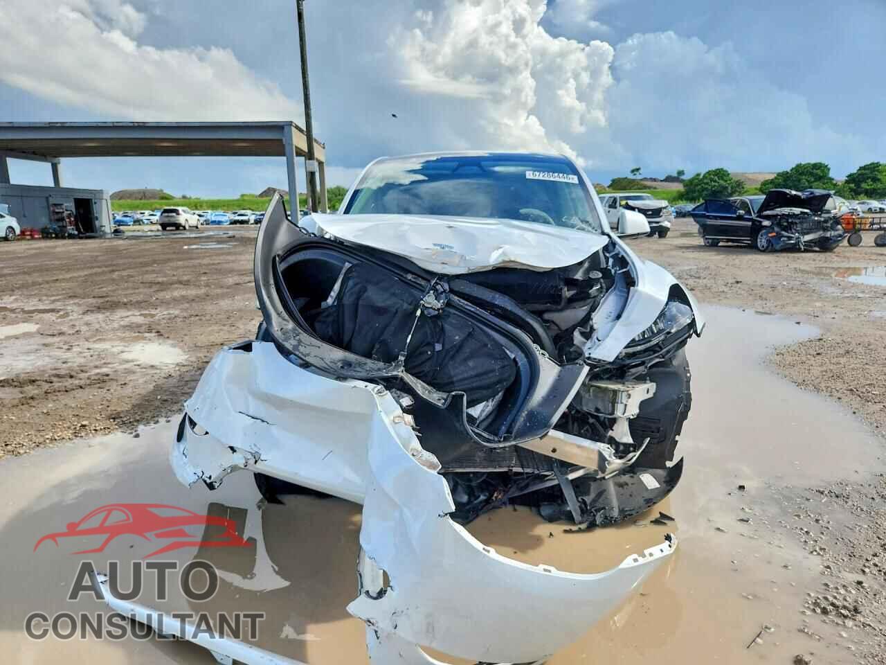 TESLA MODEL Y 2024 - 7SAYGAEE4RF167455