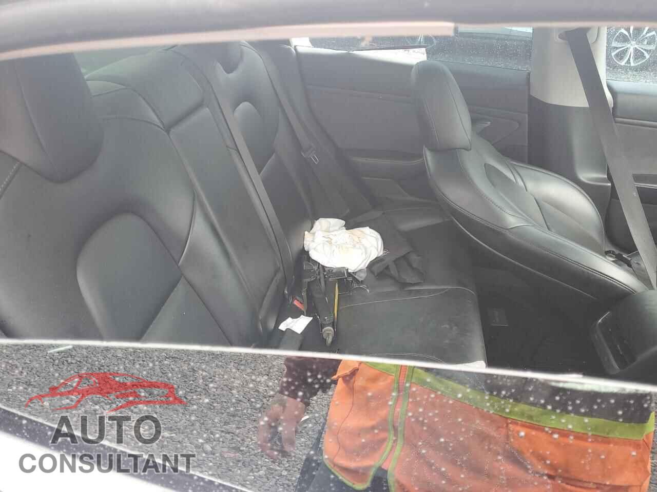 TESLA MODEL 3 2019 - 5YJ3E1EA1KF426774
