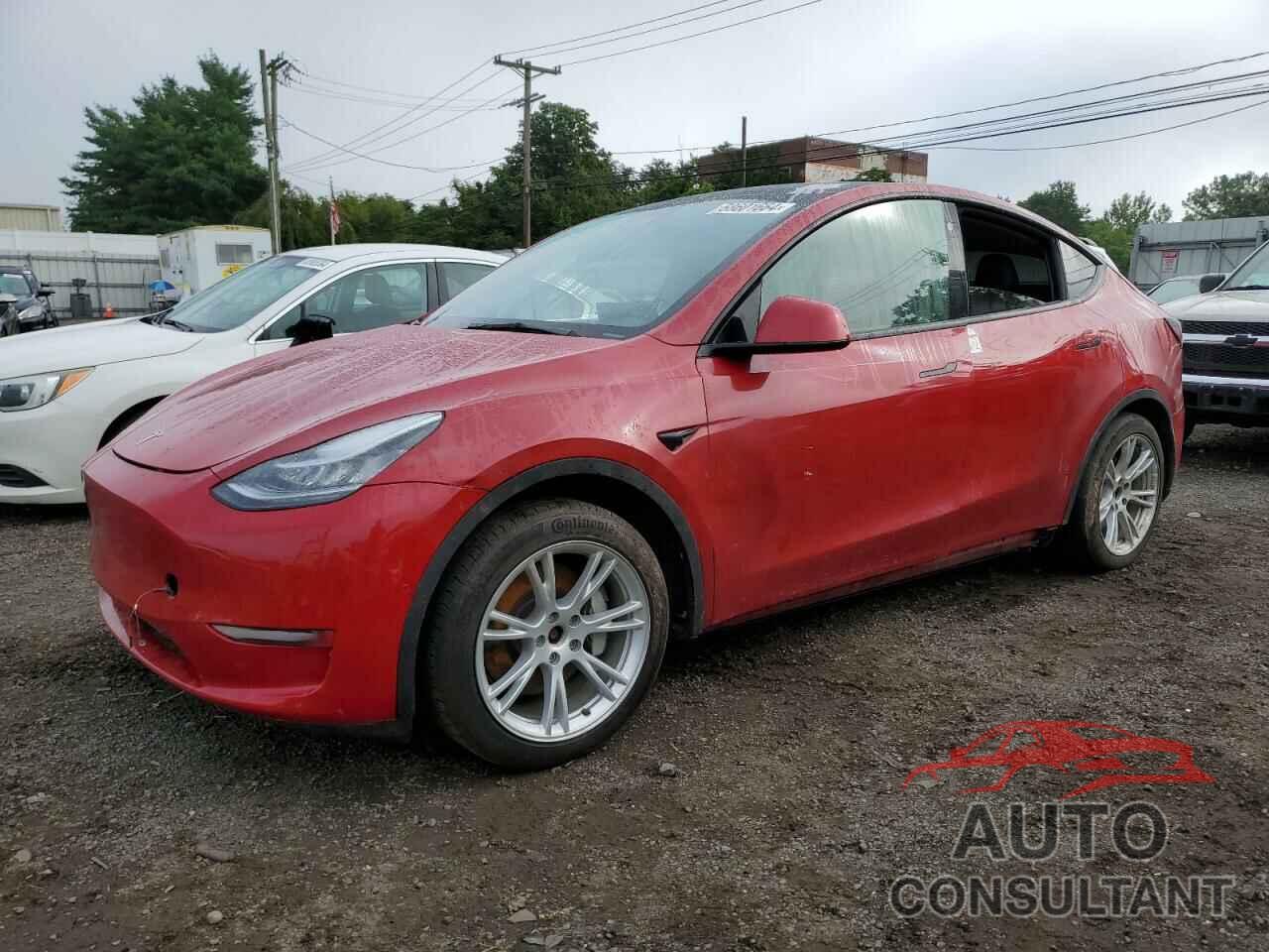 TESLA MODEL Y 2021 - 5YJYGDEE5MF113069