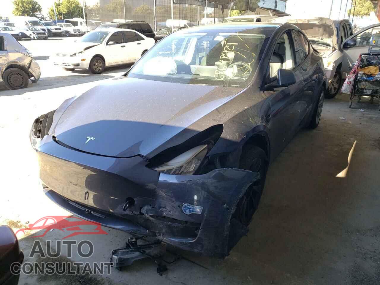 TESLA MODEL Y 2020 - 5YJYGDEE8LF031495