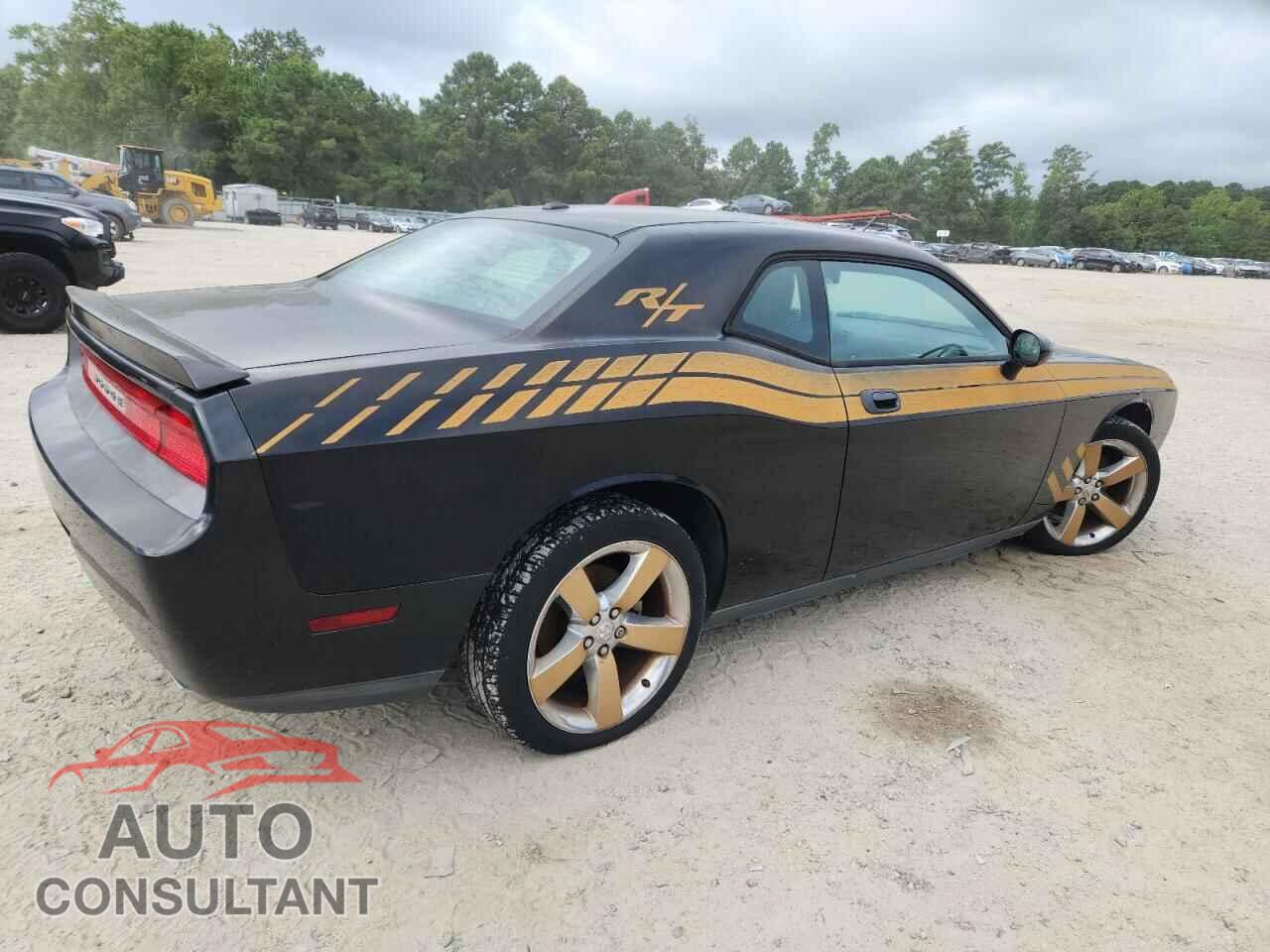DODGE CHALLENGER 2010 - 2B3CJ5DTXAH321893
