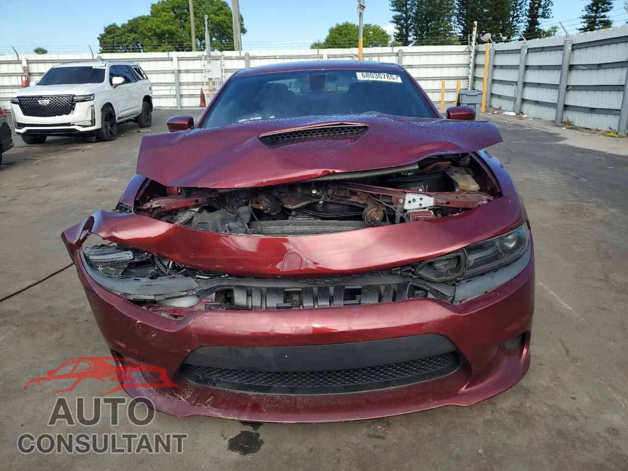 DODGE CHARGER 2019 - 2C3CDXCT9KH738284