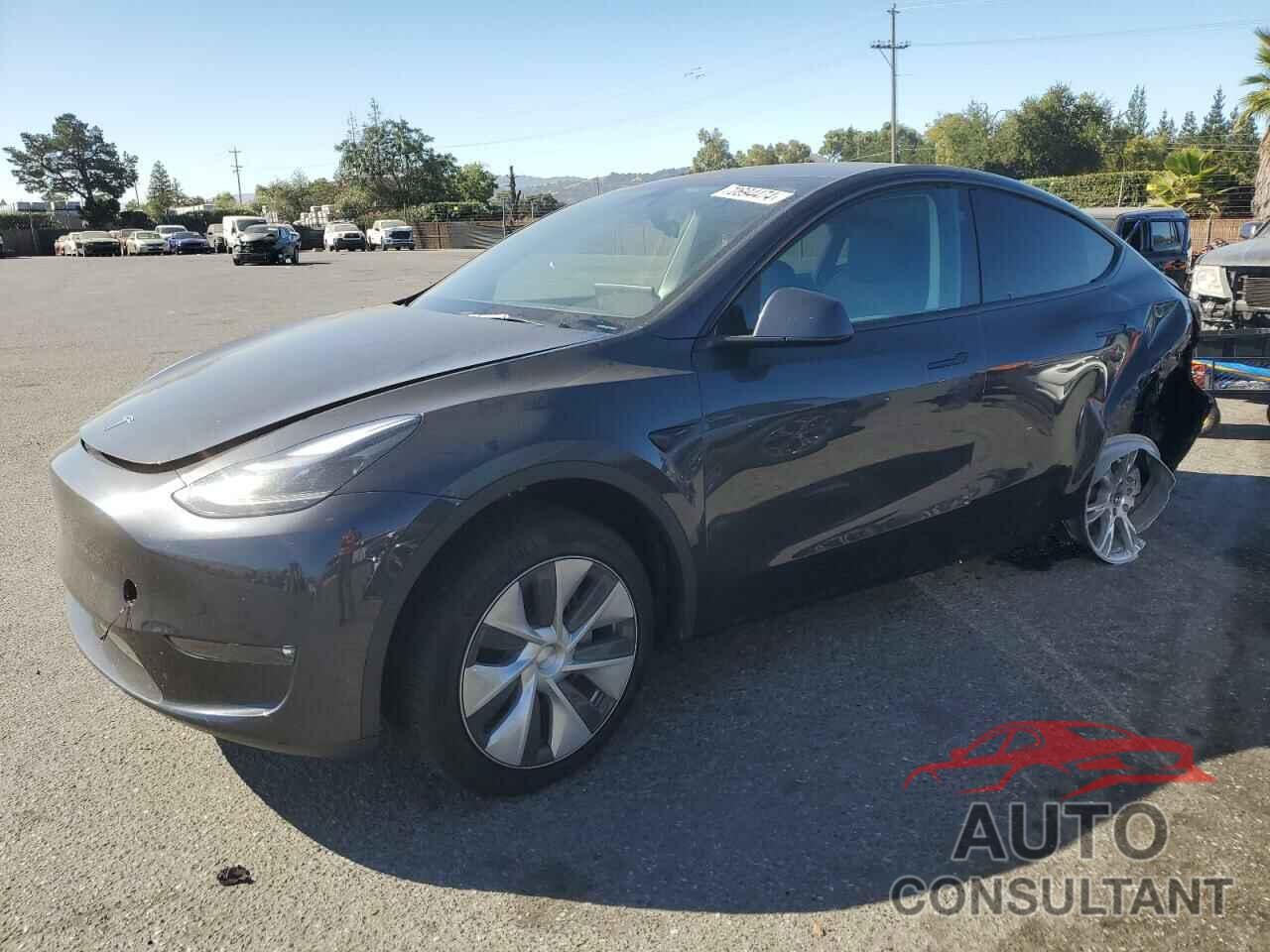 TESLA MODEL Y 2024 - 7SAYGDEE7RF032021