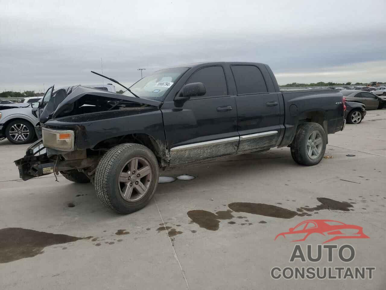 DODGE DAKOTA 2010 - 1D7CW5GP4AS144237