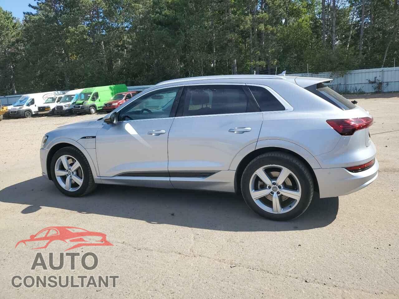 AUDI E-TRON 2019 - WA1LABGE3KB017352