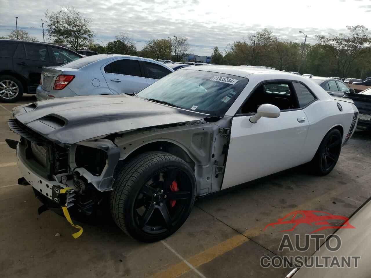 DODGE CHALLENGER 2019 - 2C3CDZL90KH695034