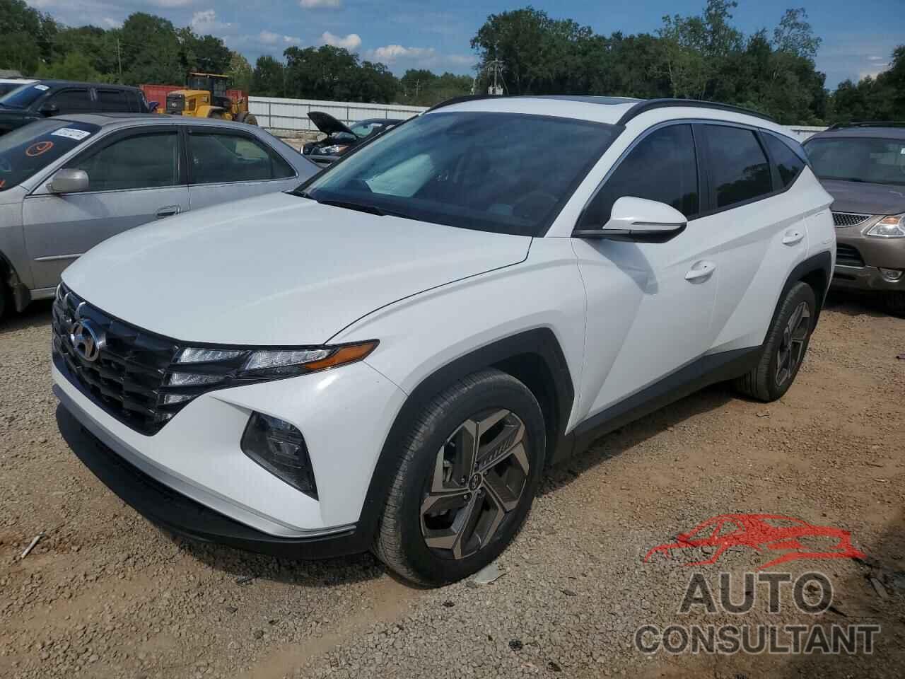 HYUNDAI TUCSON 2024 - 5NMJF3DE0RH402303