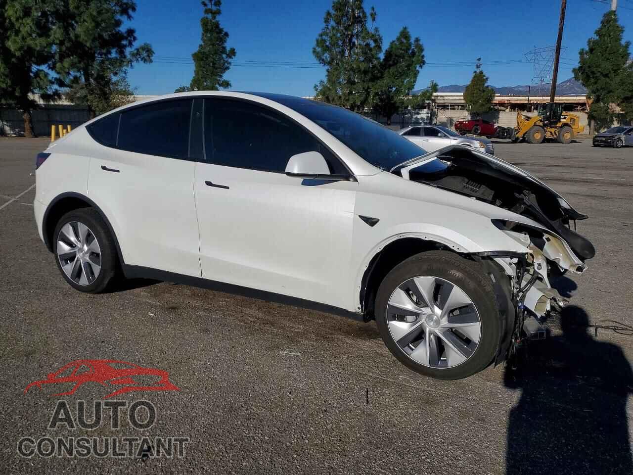 TESLA MODEL Y 2024 - 7SAYGDEE2RF057893