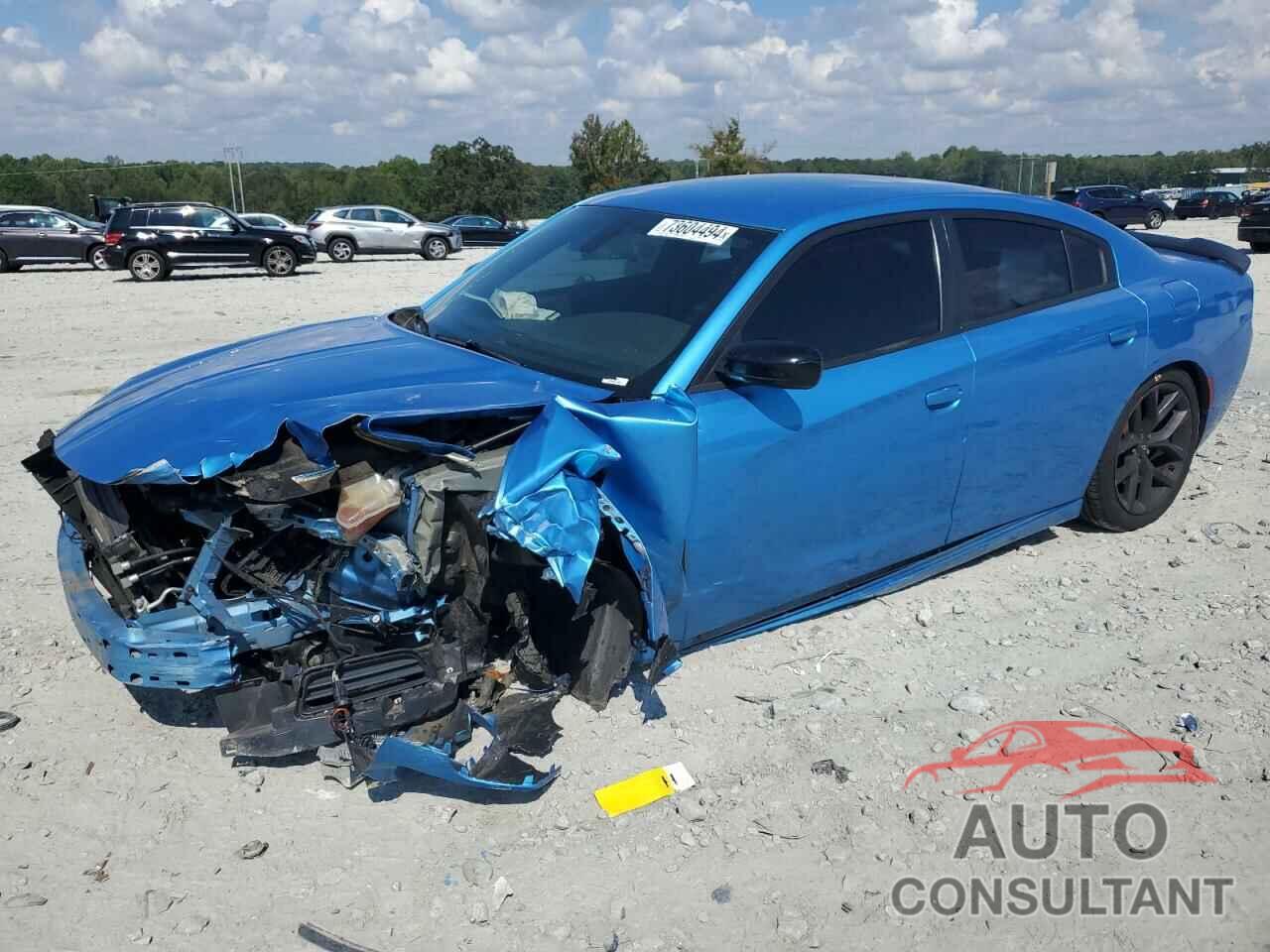 DODGE CHARGER 2019 - 2C3CDXBG8KH599415