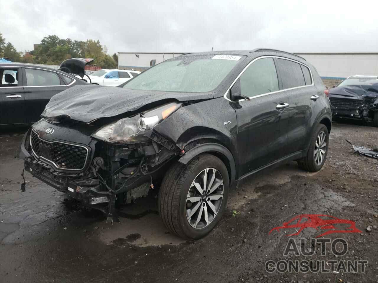 KIA SPORTAGE 2019 - KNDPNCAC3K7538566