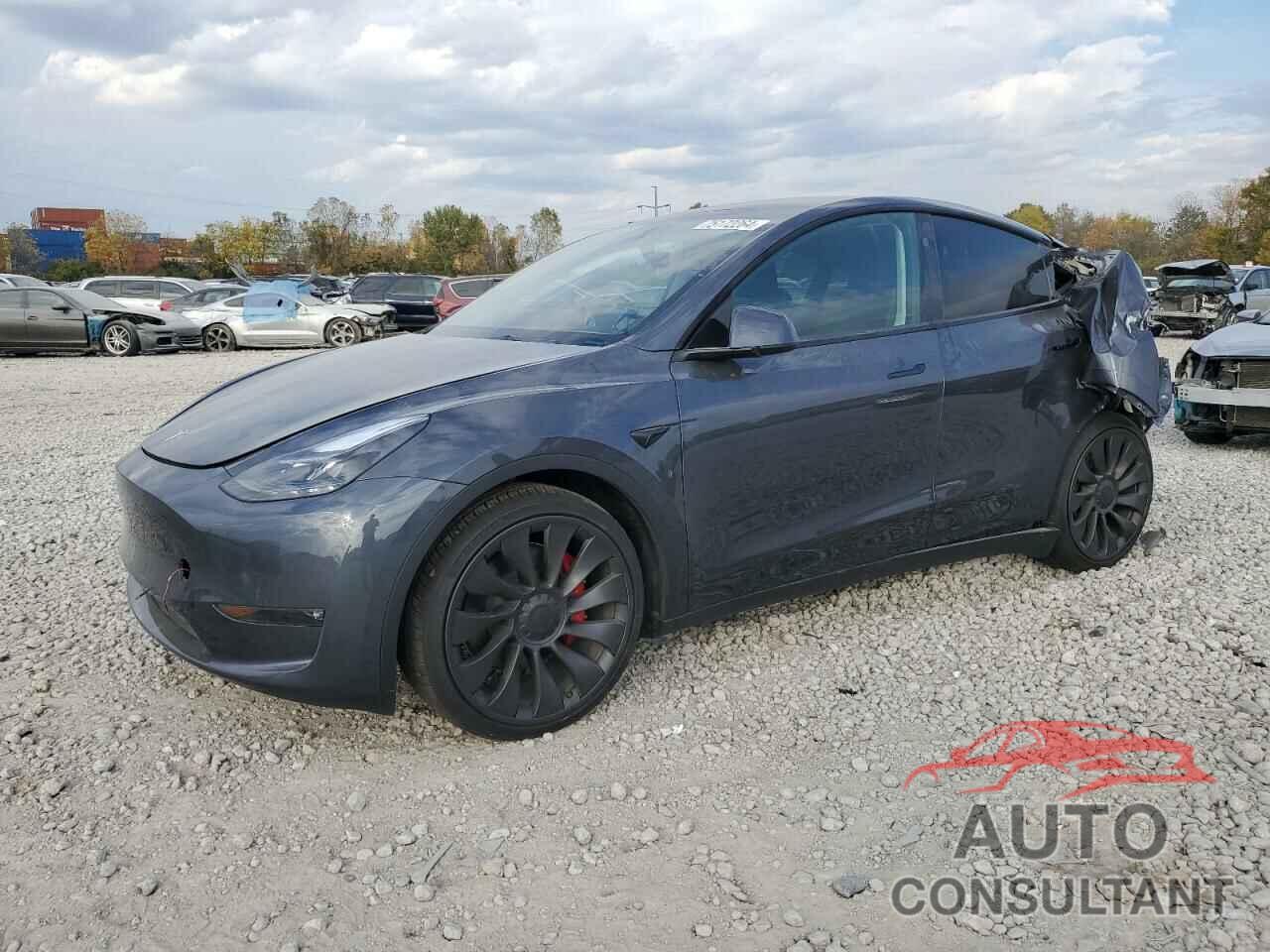 TESLA MODEL Y 2023 - 7SAYGDEF9PF969944