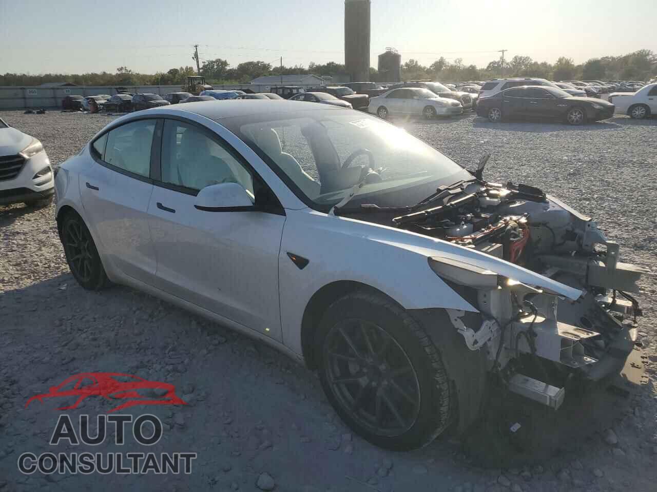 TESLA MODEL 3 2021 - 5YJ3E1EA9MF987467
