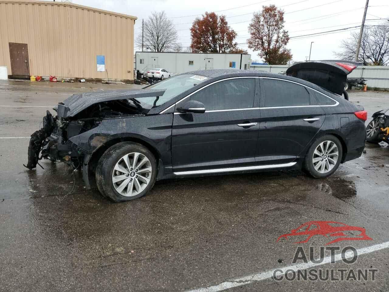 HYUNDAI SONATA 2016 - 5NPE34AF6GH350155