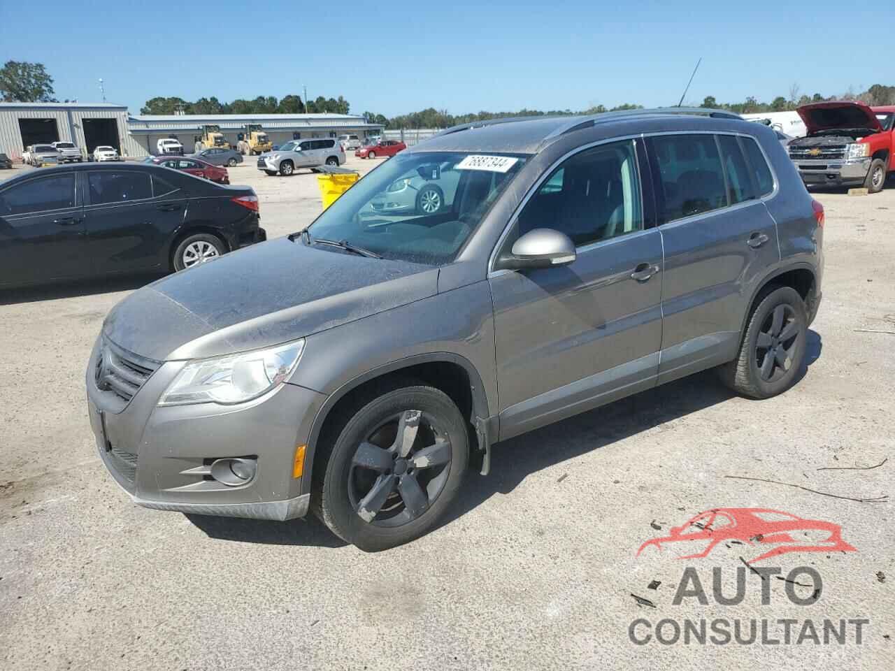 VOLKSWAGEN TIGUAN 2010 - WVGAV7AX4AW531254