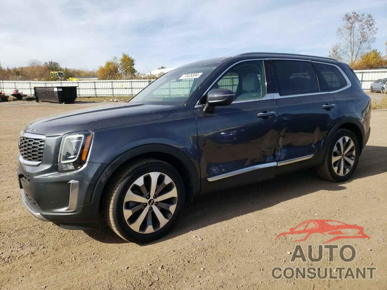 KIA TELLURIDE 2020 - 5XYP6DHC2LG065563