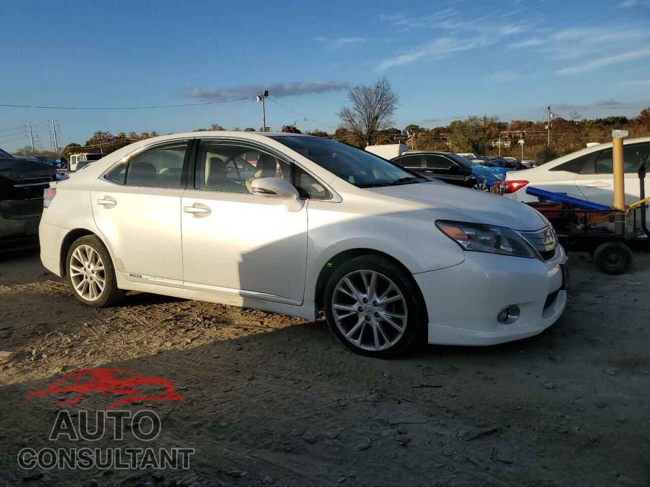 LEXUS HS 2010 - JTHBB1BA7A2031894