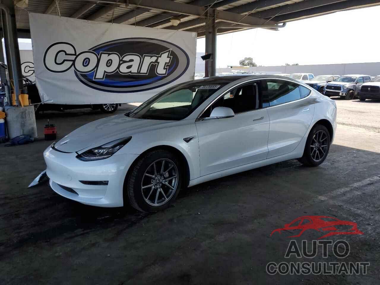 TESLA MODEL 3 2019 - 5YJ3E1EB1KF511154