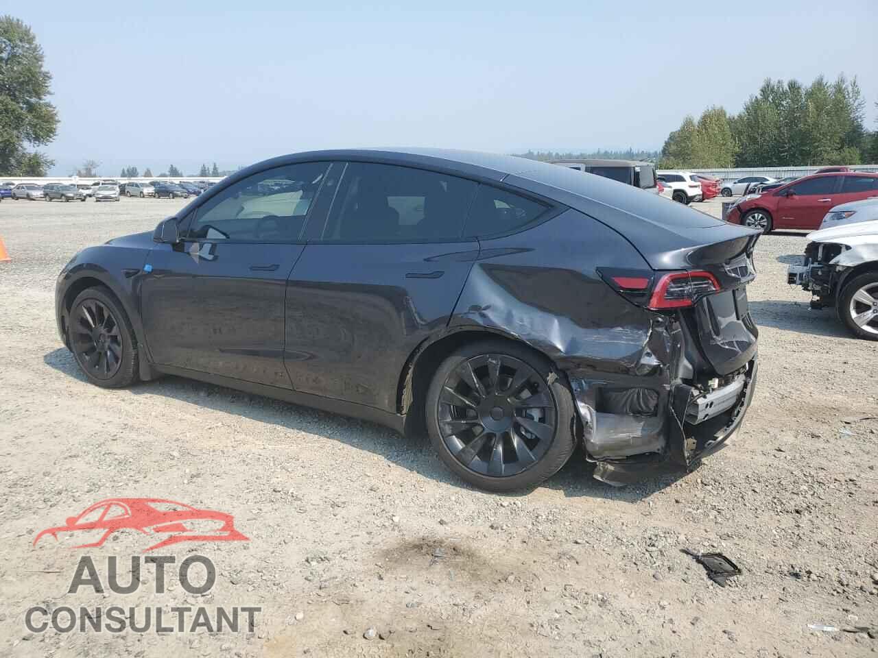 TESLA MODEL Y 2024 - 7SAYGAEE4RF119311