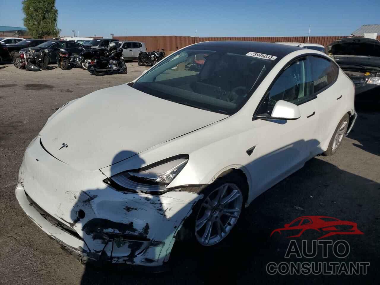 TESLA MODEL Y 2021 - 5YJYGDEE2MF146661