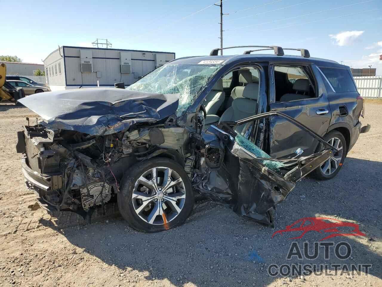 HYUNDAI PALISADE 2020 - KM8R4DHEXLU086686