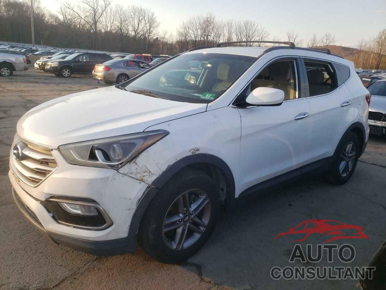 HYUNDAI SANTA FE 2017 - 5NMZUDLB3HH013384