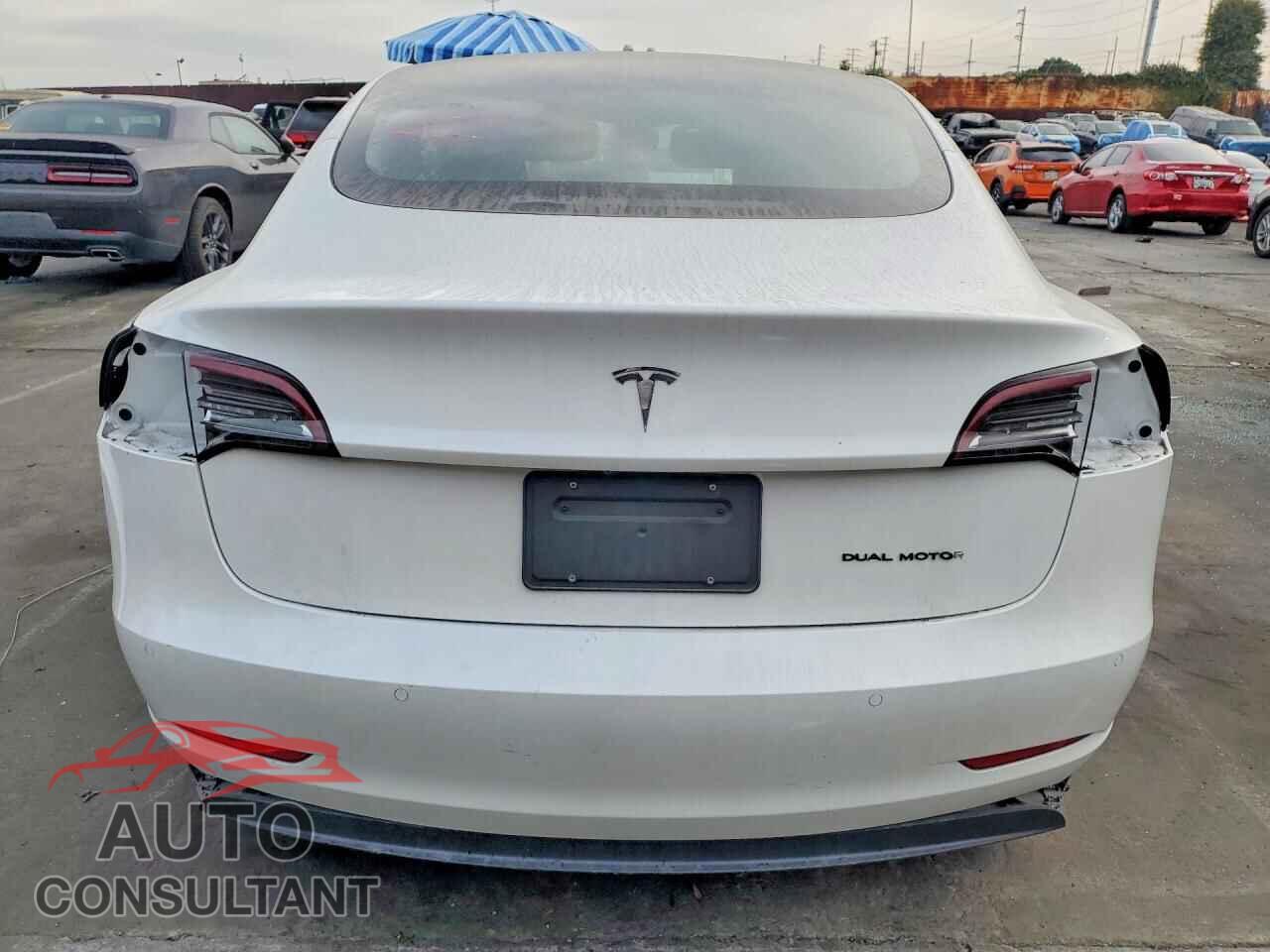 TESLA MODEL 3 2021 - 5YJ3E1EA7MF006424