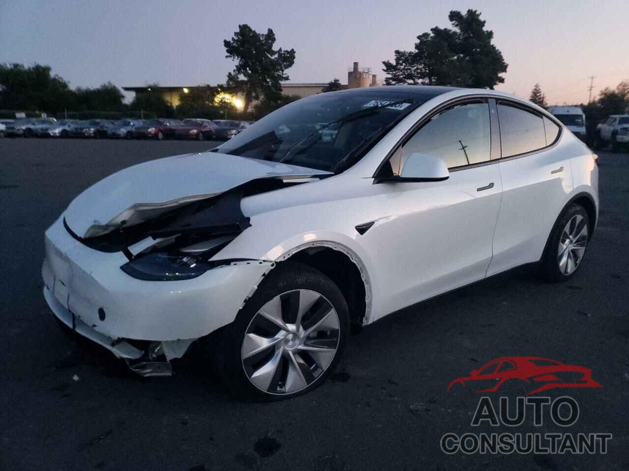 TESLA MODEL Y 2023 - 7SAYGAEEXPF701474