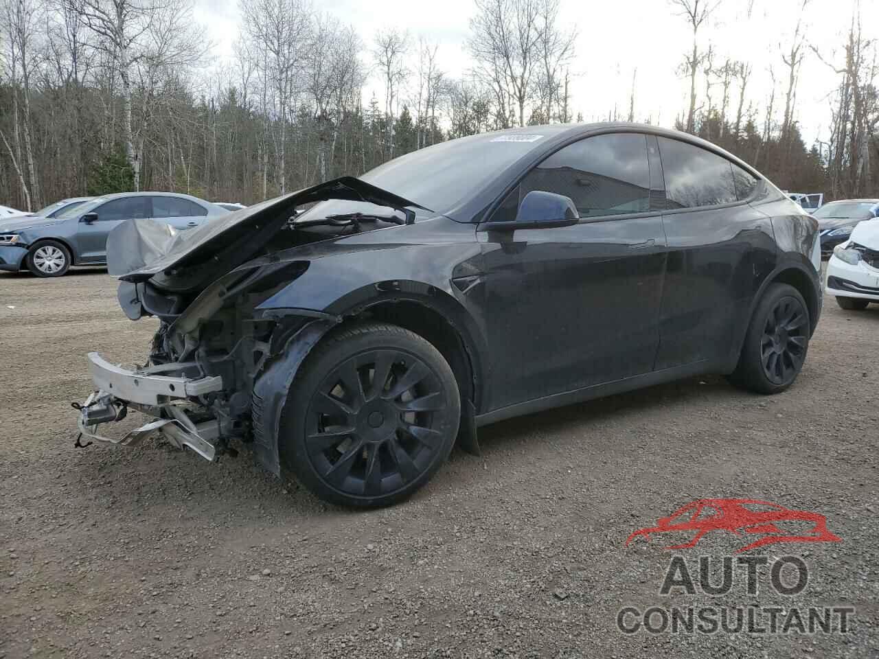 TESLA MODEL Y 2022 - 7SAYGDEE0NF534959