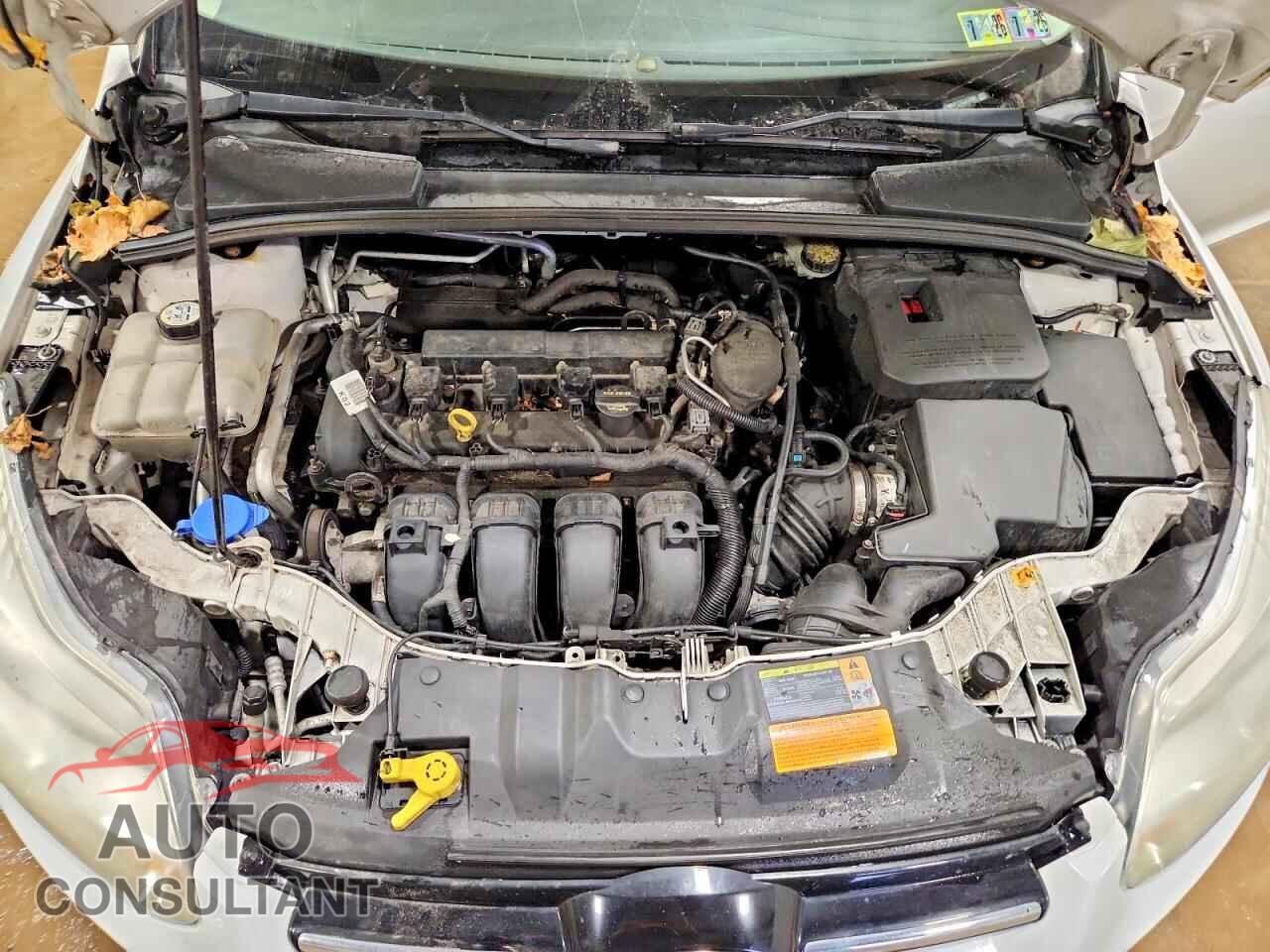 FORD FOCUS 2012 - 1FAHP3F21CL317948