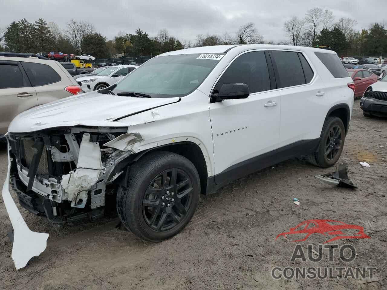 CHEVROLET TRAVERSE 2020 - 1GNEVFKW4LJ161954