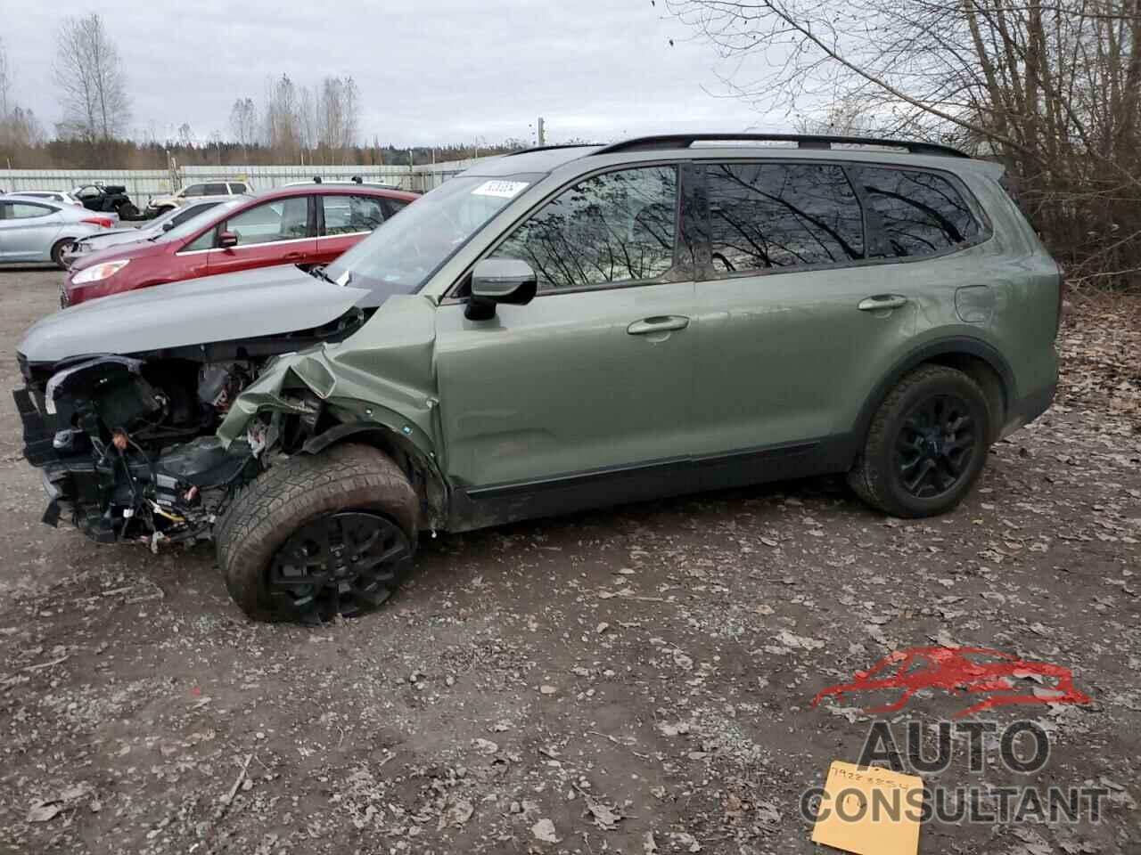 KIA TELLURIDE 2024 - 5XYP5DGC8RG476057