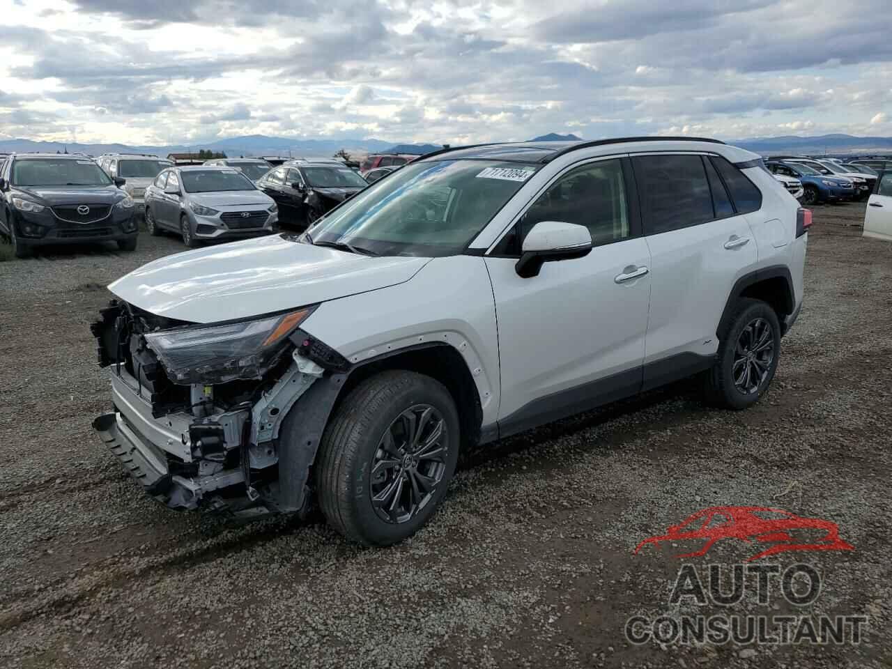 TOYOTA RAV4 2024 - JTMD6RFV5RD560416