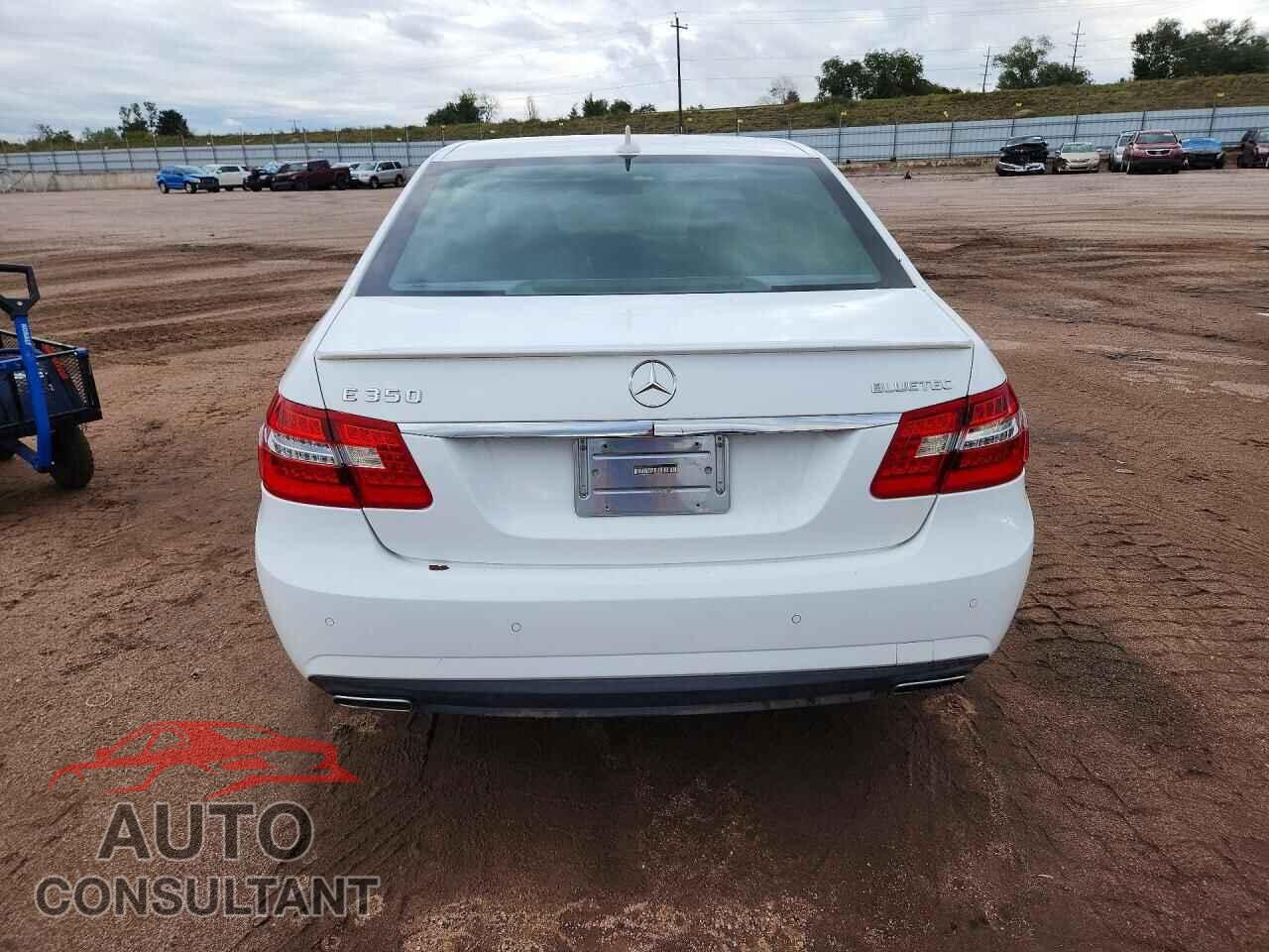 MERCEDES-BENZ E-CLASS 2013 - WDDHF2EB7DA735734