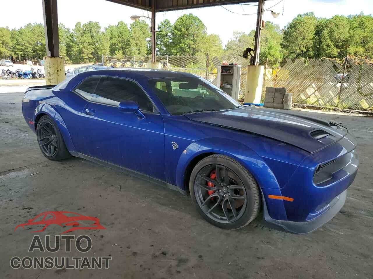 DODGE CHALLENGER 2019 - 2C3CDZC96KH731244