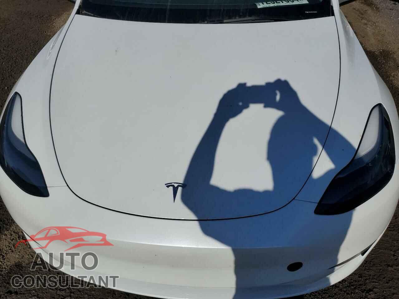 TESLA MODEL Y 2023 - LRWYGDFD4PC939223