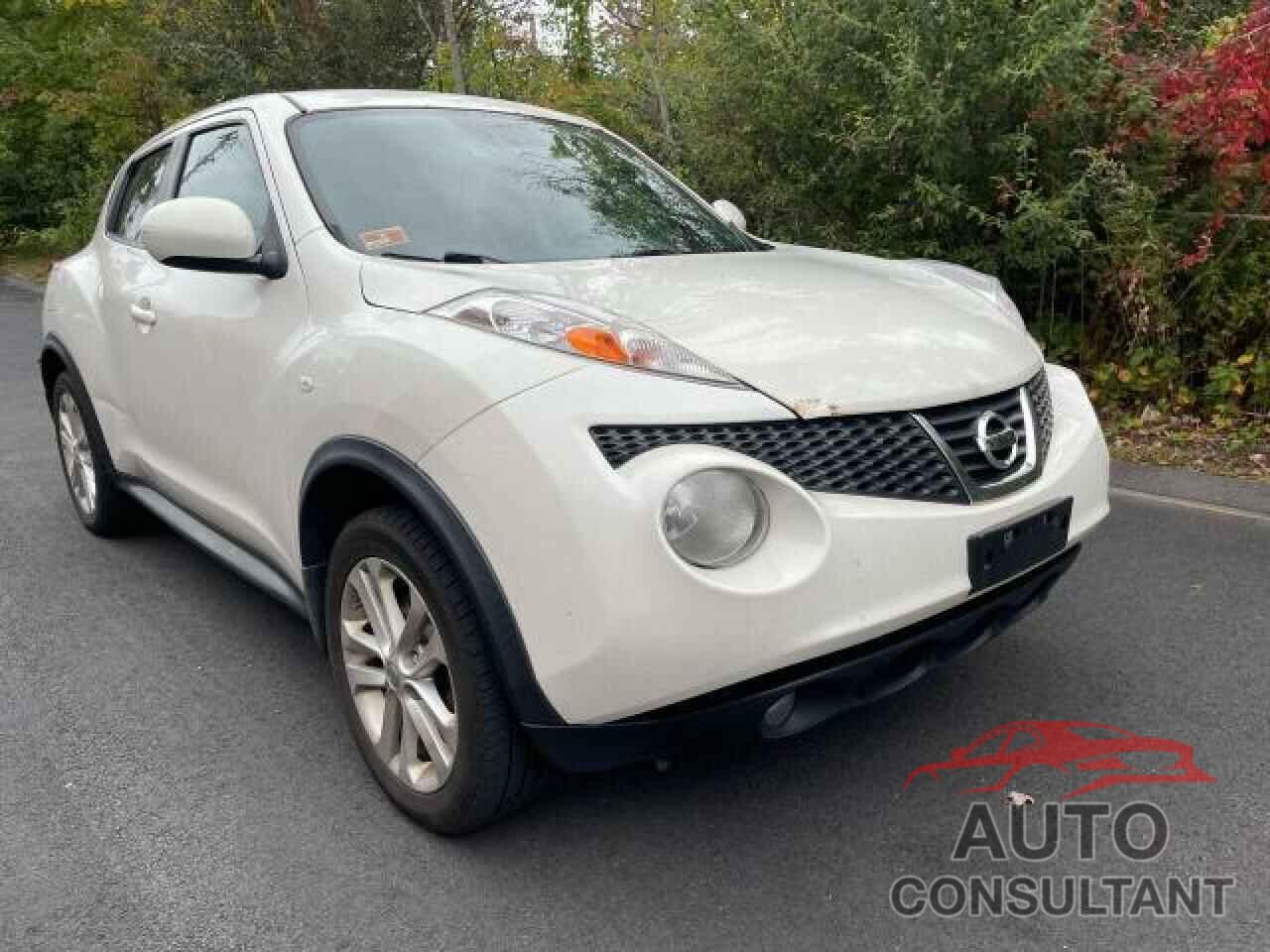 NISSAN JUKE 2013 - JN8AF5MVXDT208482