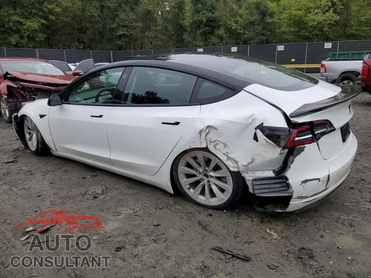 TESLA MODEL 3 2021 - 5YJ3E1EB8MF859813