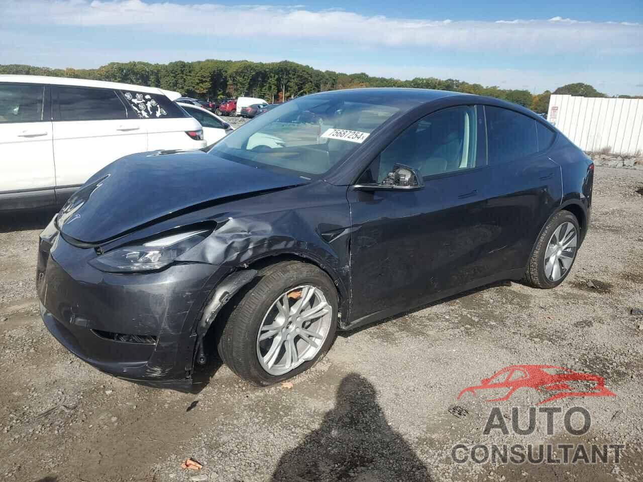 TESLA MODEL Y 2024 - 7SAYGDEEXRA283788