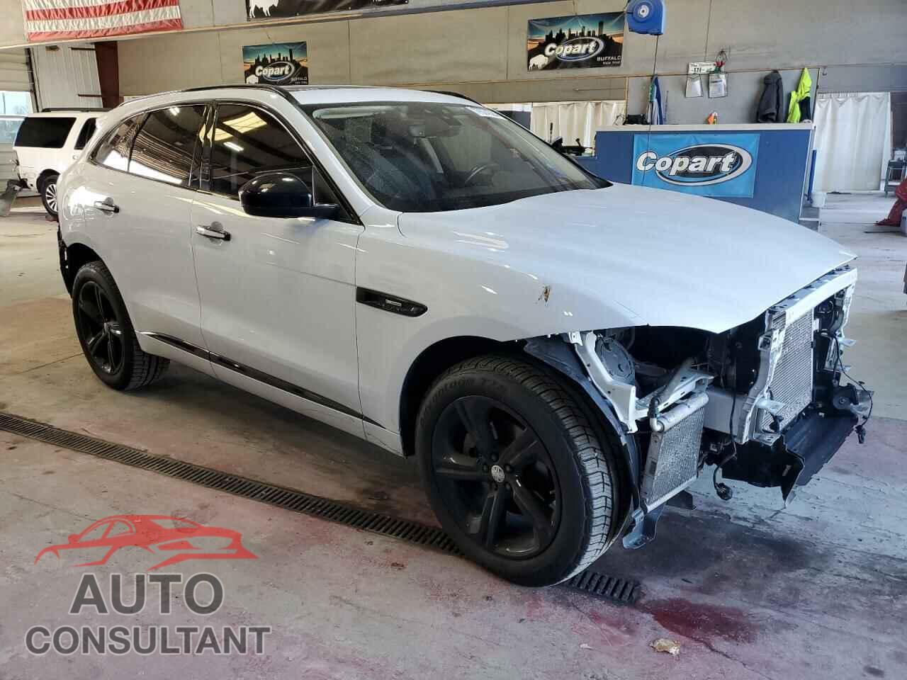JAGUAR F-PACE 2020 - SADCL2FX2LA662749