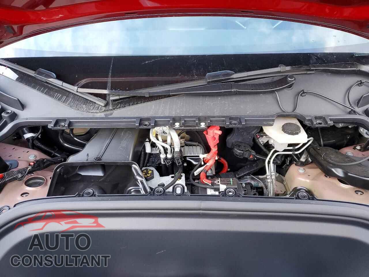 TESLA MODEL Y 2024 - 7SAYGAEE7RF169524