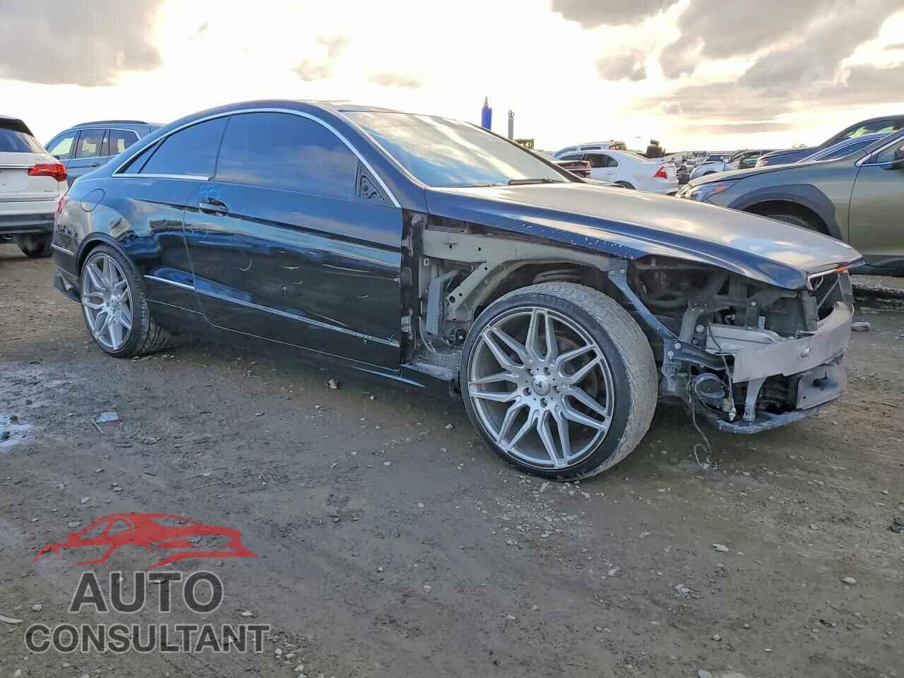 MERCEDES-BENZ E-CLASS 2010 - WDDKJ5GB3AF009967