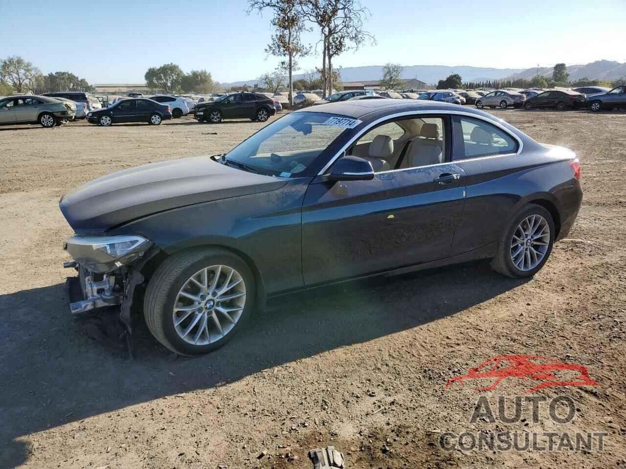 BMW 2 SERIES 2014 - WBA1F5C58EVV99647