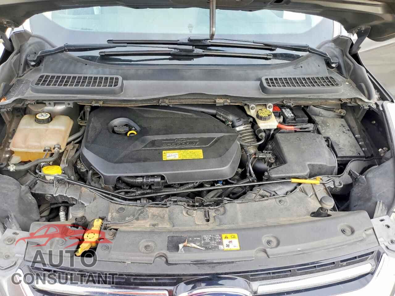 FORD ESCAPE 2013 - 1FMCU9HX8DUB66123