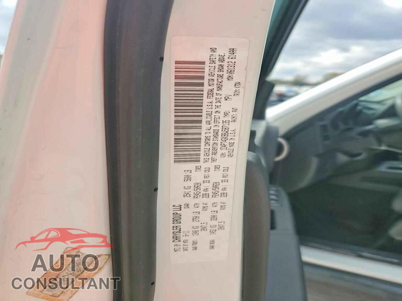 DODGE NITRO 2011 - 1D4PT4GK8BW587135
