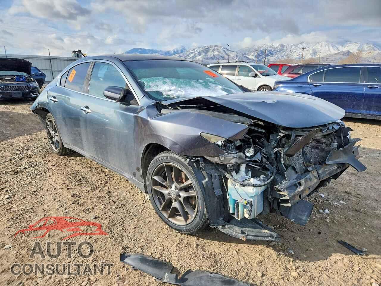 NISSAN MAXIMA 2013 - 1N4AA5AP9DC833672