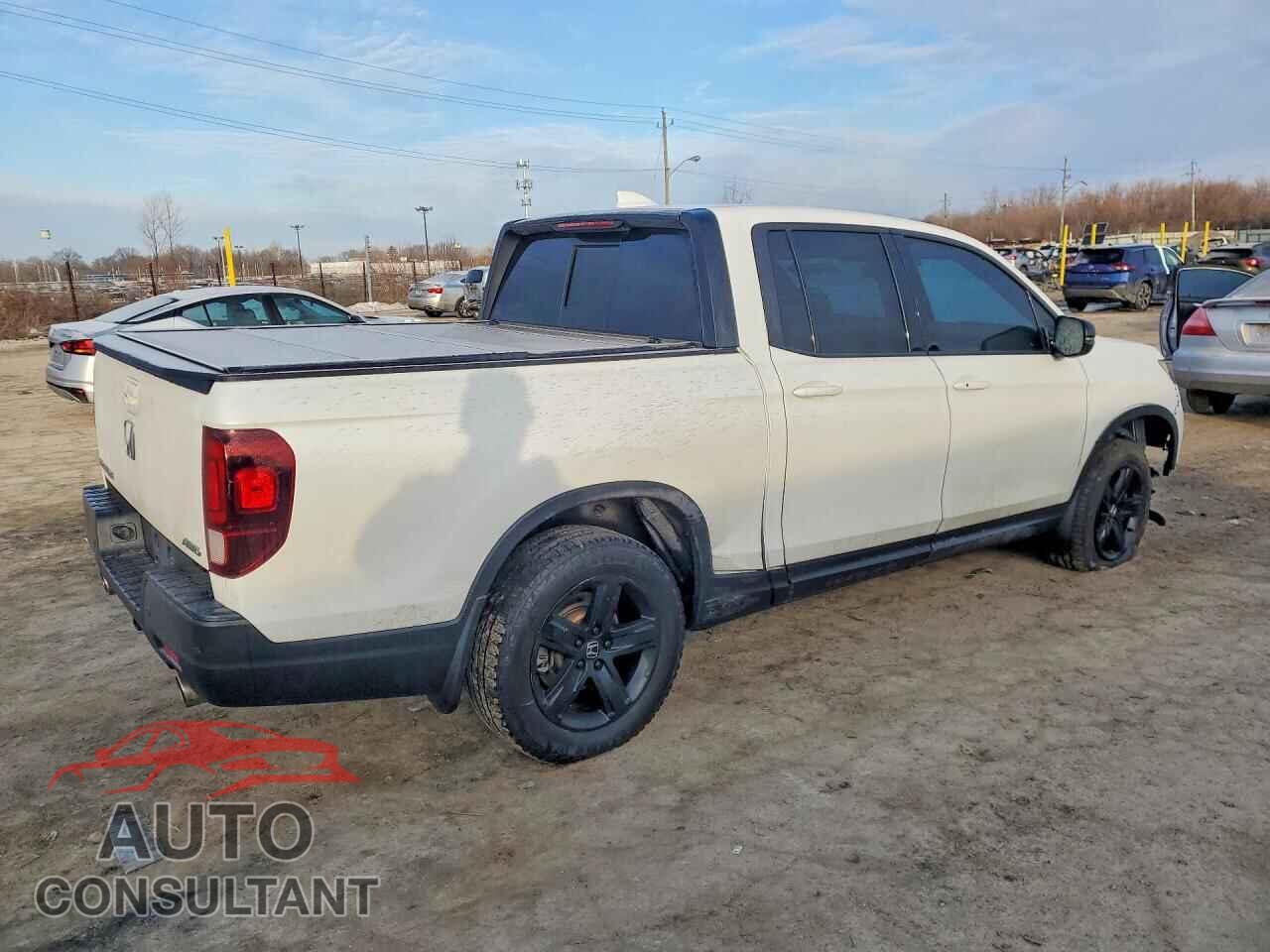 HONDA RIDGELINE 2022 - 5FPYK3F82NB020441