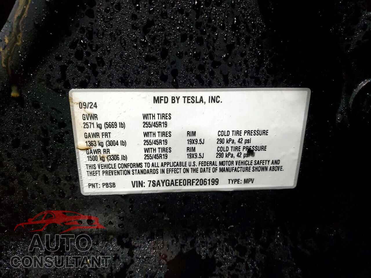 TESLA MODEL Y 2024 - 7SAYGAEE0RF206199