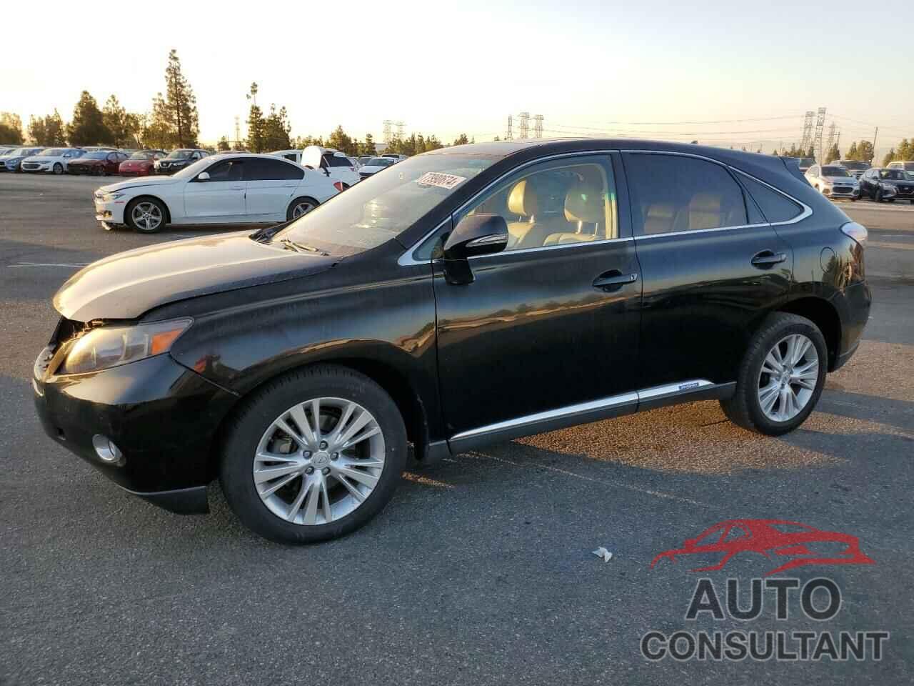 LEXUS RX450 2010 - JTJZB1BA6A2000553