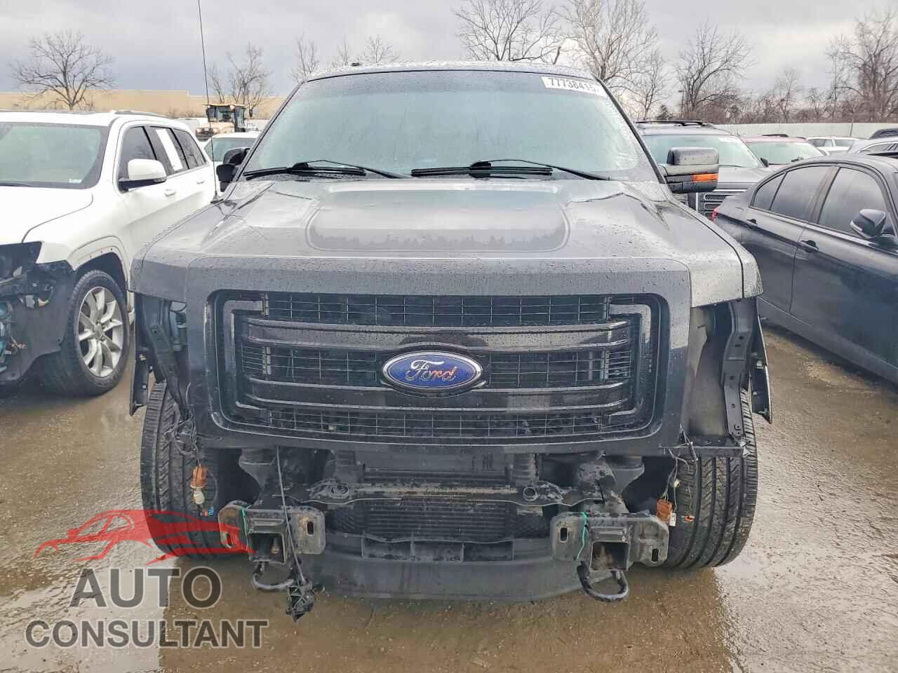 FORD F-150 2013 - 1FTFW1ET3DFD19204